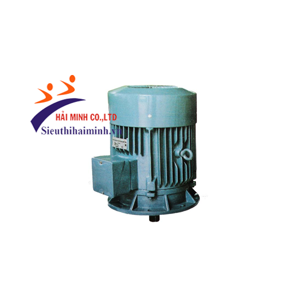 Photo - Động cơ điện 3 pha Hem 3K250S6-40KW