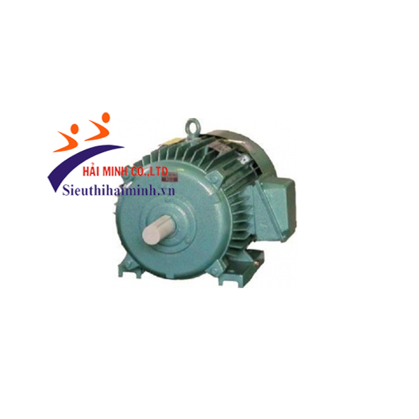 Photo - Động cơ điện 3 pha Hem 3K280M6 - 100KW