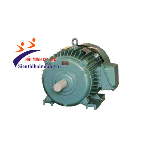 Photo - Động cơ điện Hà Nội 3 pha 0.55kw