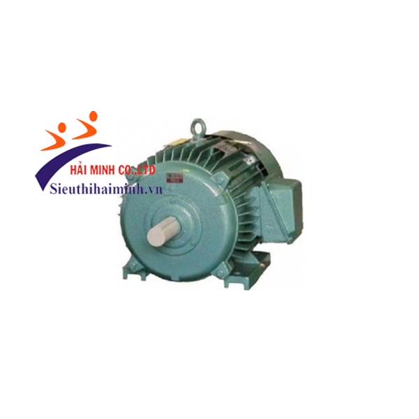 Photo - Động cơ không đồng bộ 3 pha Hem 3K132S6 (3kw)