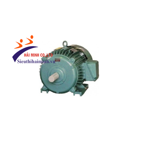 Photo - Động cơ không đồng bộ 3 pha Hem 4KA160L6 (11kw)