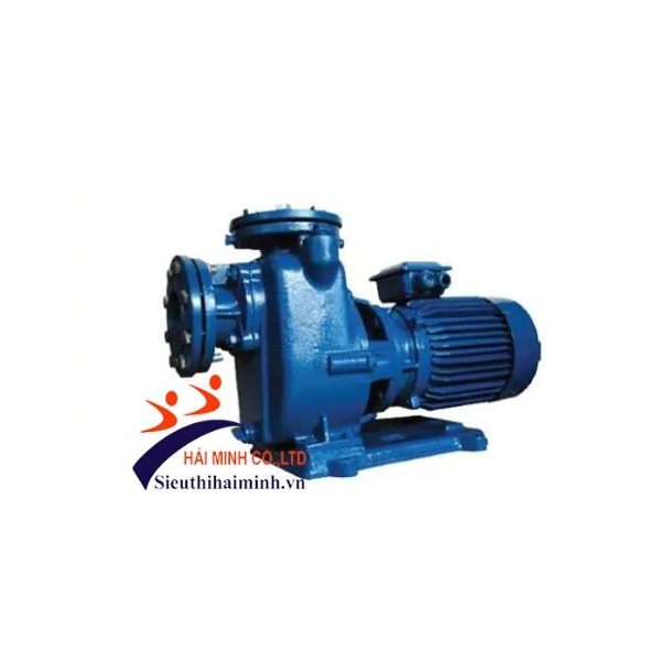 Photo - Máy bơm nước tự hút Mitsuky CNS80/5.5 7.5HP