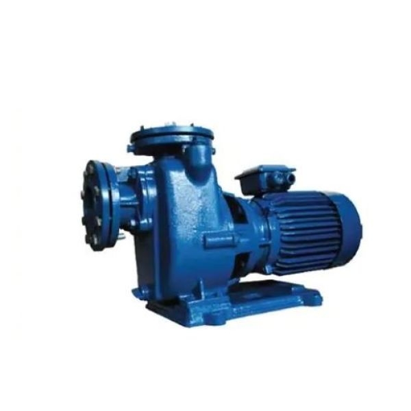 Photo - Máy bơm tự hút Mitsuky CNS100A/11 15HP