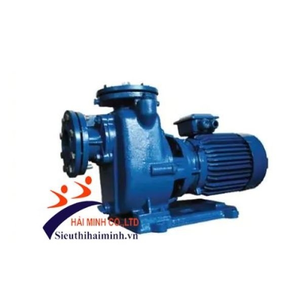 Photo - Máy bơm tự hút Mitsuky CNS100A/11 15HP