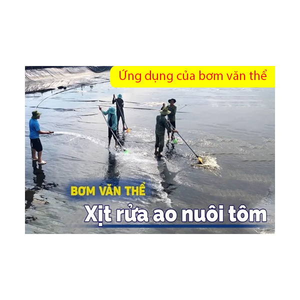 Photo - Bơm Văn Thể 4