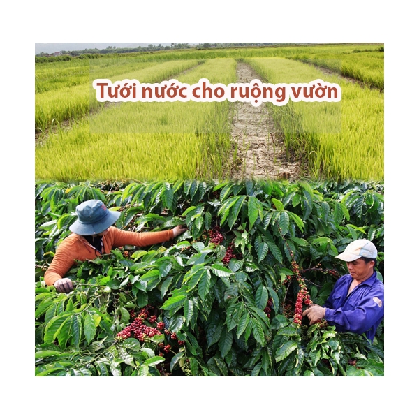 Photo - Bơm Văn Thể 9