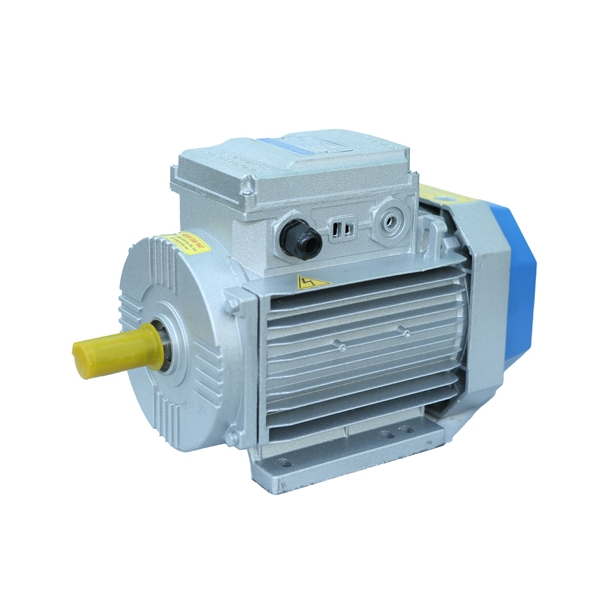 Photo - motor 1 pha Toàn Phát 3,0kw  2900 vòng/phút