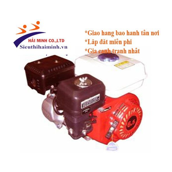 Photo - Động cơ Samdi S168FB 6,5 HP