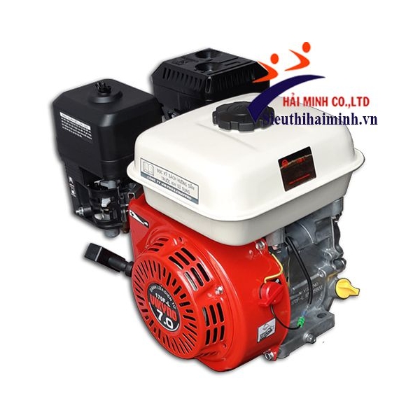 Photo - Động cơ xăng Vikyno 170FL (7hp/1800r/m)