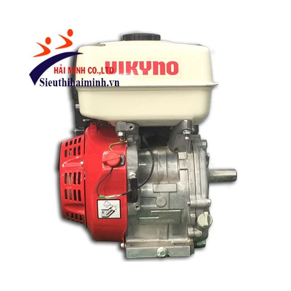 Photo - Động cơ xăng Vikyno 177F (9hp)