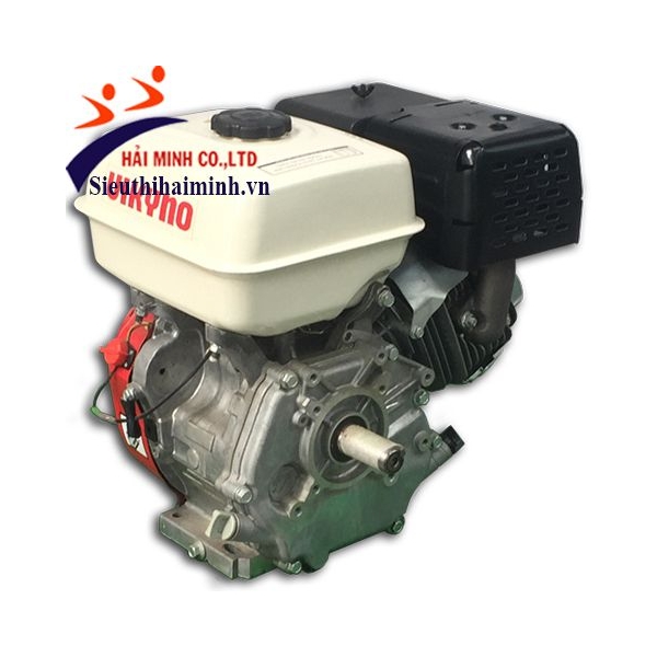 Photo - Động cơ xăng Vikyno 177F (9hp)