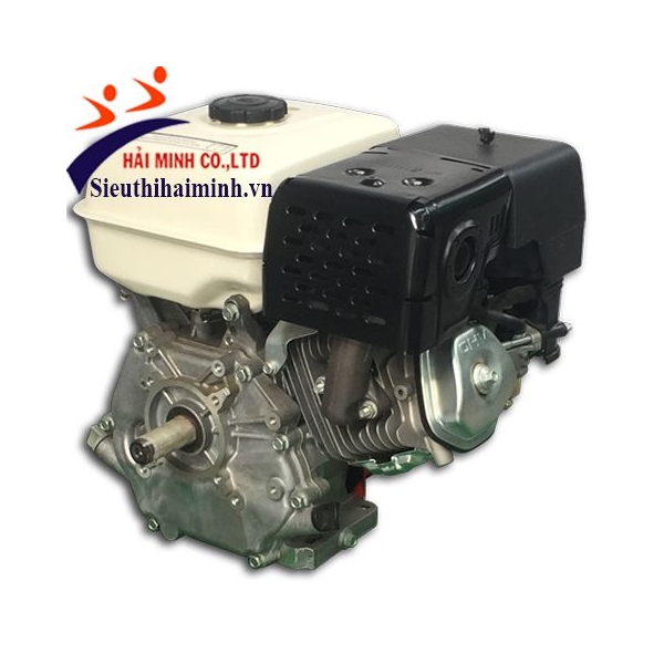 Photo - Động cơ xăng Vikyno 177F (9hp)