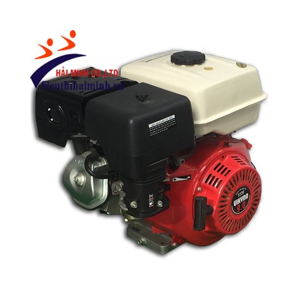 Photo - Động cơ xăng Vikyno 177F (9hp)