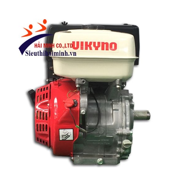 Photo - Động cơ xăng Vikyno 188F (13hp)