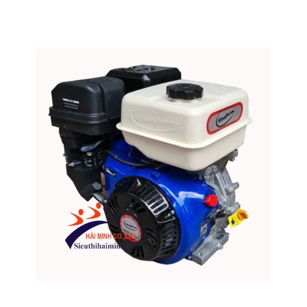 Photo - Máy nổ Vinafarm VNDCX-390E (13.0HP) nhanh đề