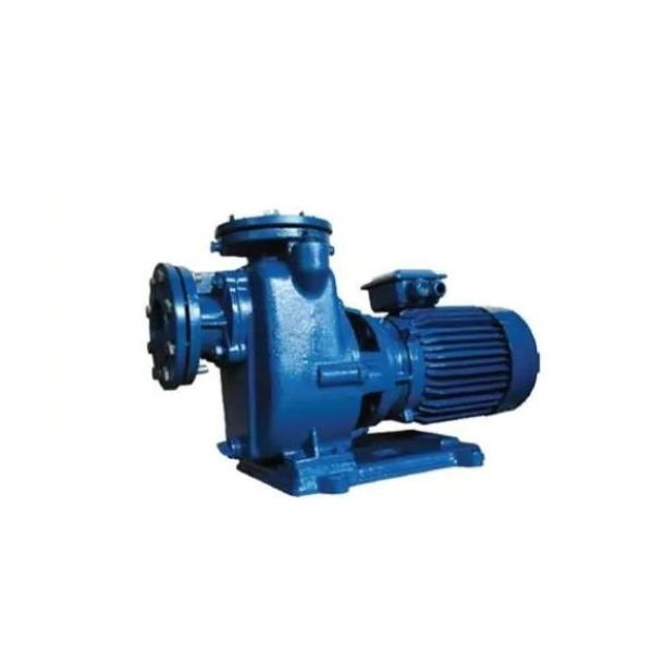 Photo - Máy bơm nước tự hút Mitsuky CNS80A/5.5 7.5HP