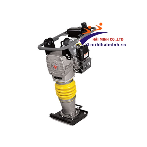 Photo - Máy đầm cóc Wacker Neuson MS64A