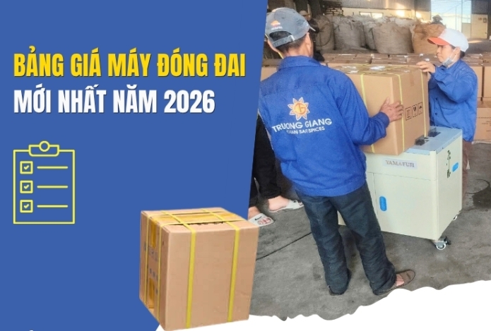 Bảng Giá Máy Đóng Đai Mới Nhất Năm 2026