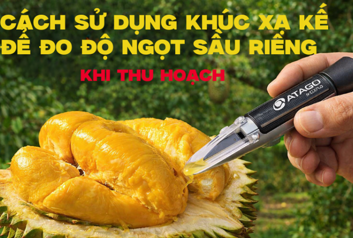 Cách Sử Dụng Khúc Xạ Kế Để Đo Độ Ngọt Sầu Riêng Khi Thu Hoạch
