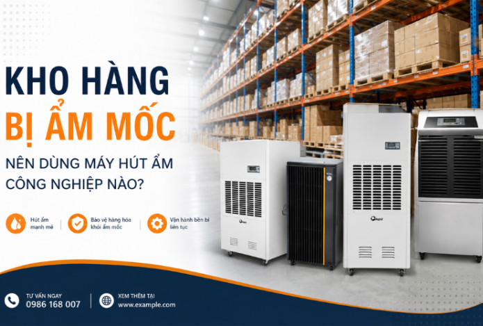 Kho hàng bị ẩm mốc nên dùng máy hút ẩm công nghiệp nào?