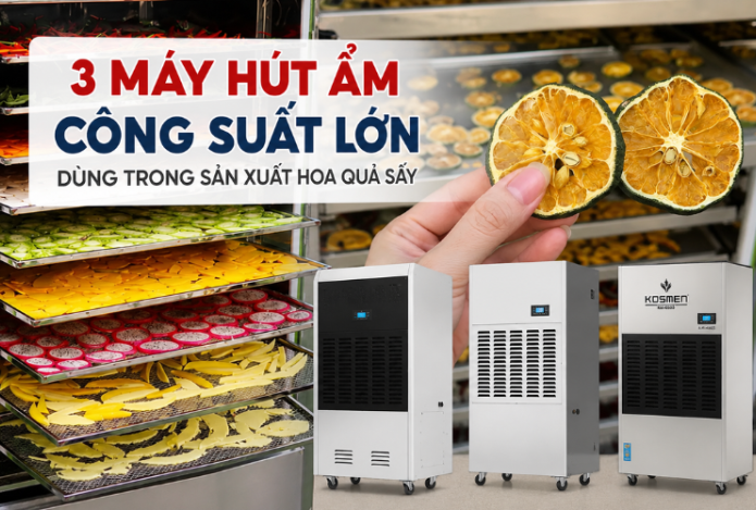 Top 3 Máy Hút Ẩm Công Suất Lớn Dùng Trong Sản Xuất Hoa Quả Sấy