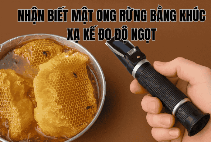Nhận Biết Mật Ong Rừng Bằng Khúc Xạ Kế Đo Độ Ngọt