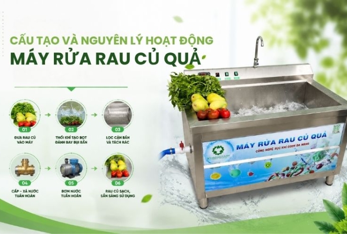 Cấu tạo và nguyên lý hoạt động máy rửa rau củ quả