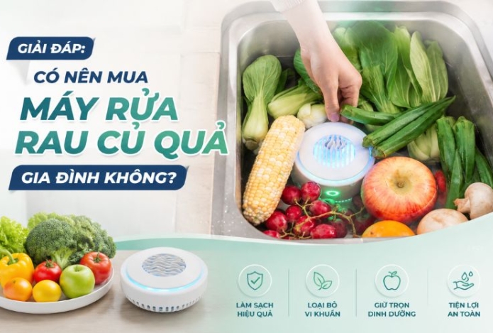 Giải đáp: Có nên mua máy rửa rau củ quả gia đình không