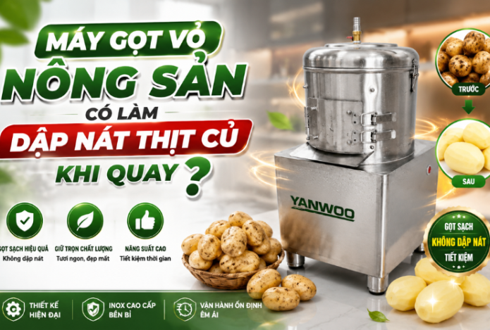 Máy gọt vỏ nông sản có làm dập nát thịt củ khi quay không?