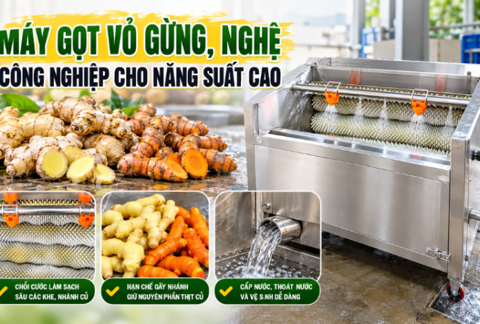 Hình ảnh Máy gọt vỏ gừng, nghệ công nghiệp cho năng suất cao