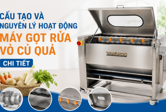 Cấu Tạo Và Nguyên Lý Hoạt Động Máy Gọt Rửa Vỏ Củ Quả Chi Tiết