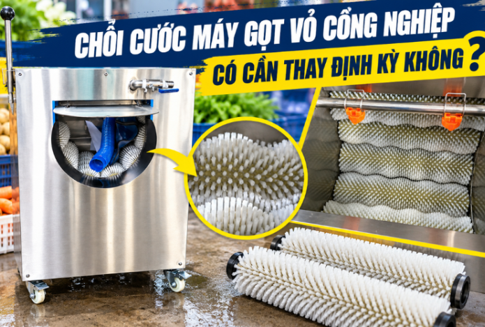 Chổi cước máy gọt vỏ công nghiệp có cần thay định kỳ không?