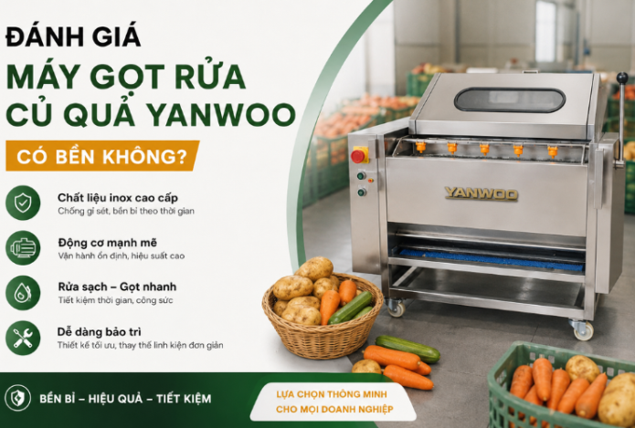 Đánh Giá Máy Gọt Rửa Củ Quả Yanwoo Có Bền Không?