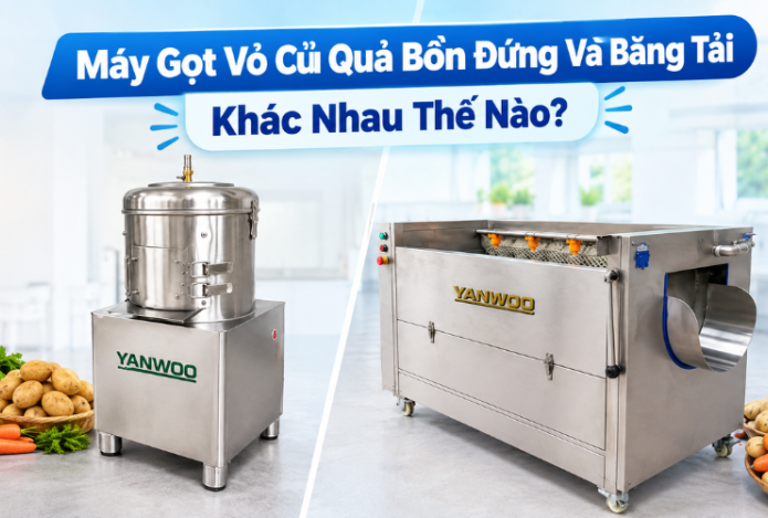 Máy gọt vỏ củ quả bồn đứng và băng tải khác nhau thế nào?