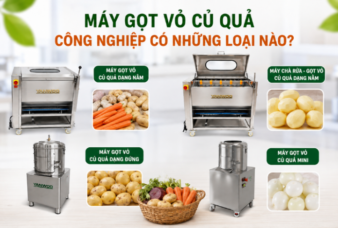Máy gọt vỏ củ quả công nghiệp có những loại nào?