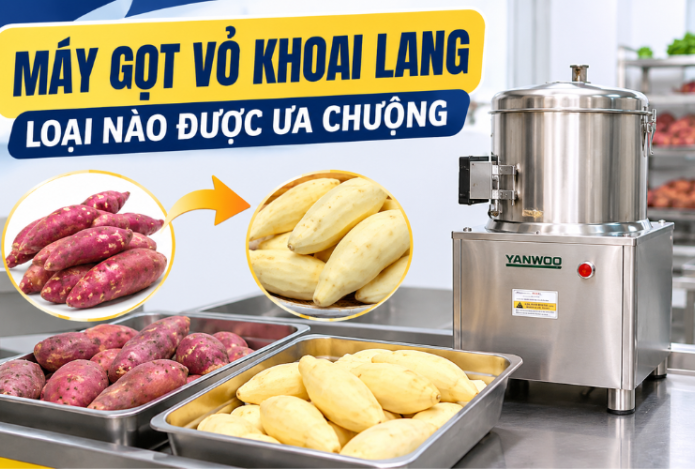Máy gọt vỏ khoai lang loại nào được ưa chuộng
