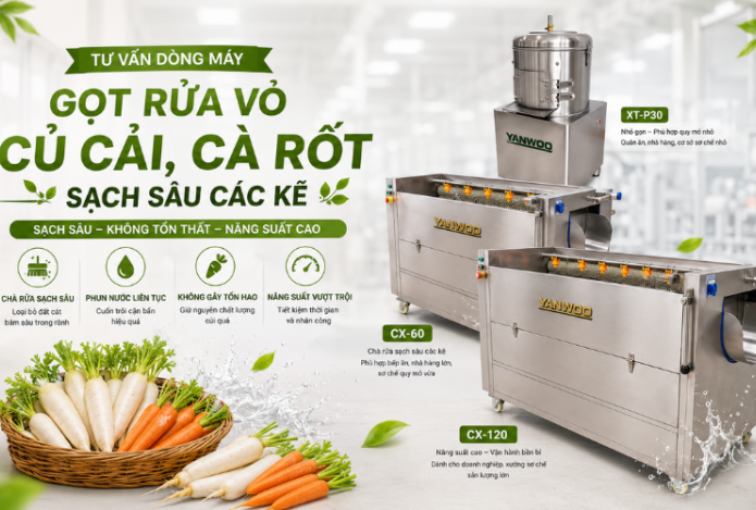 Tư vấn dòng máy gọt rửa vỏ củ cải, cà rốt sạch sâu các kẽ