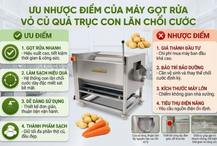 Ưu nhược điểm của máy gọt rửa vỏ củ quả trục con lăn chổi cước