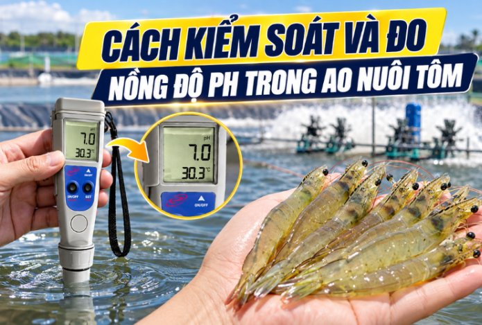 Hình ảnh Cách kiểm soát và đo nồng độ ph trong ao nuôi tôm