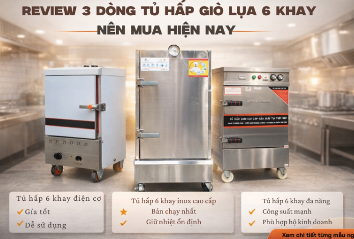 Review 3 Dòng Tủ Hấp Giò Lụa 6 Khay Nên Mua 