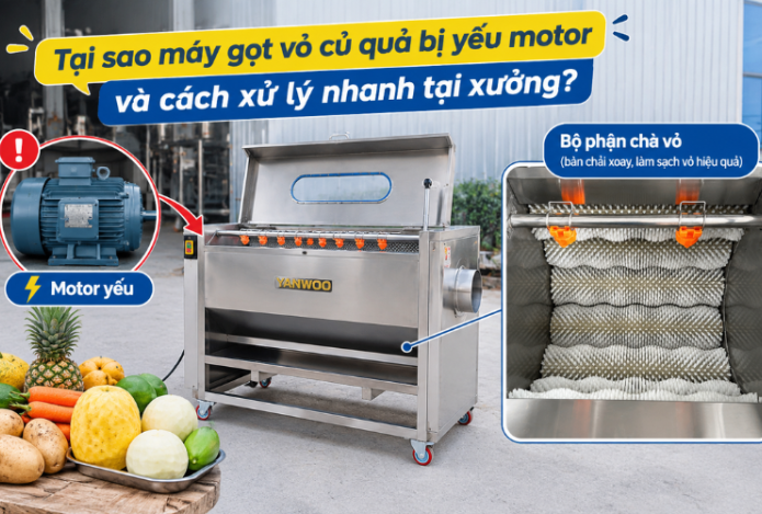 Tại sao máy gọt vỏ củ quả bị yếu motor và cách xử lý nhanh tại xưởng?