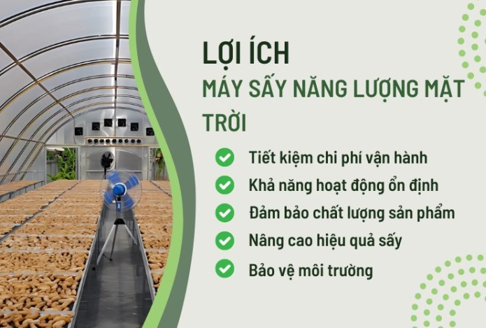 Hình ảnh 5 lợi ích của máy sấy năng lượng mặt trời bạn nên biết