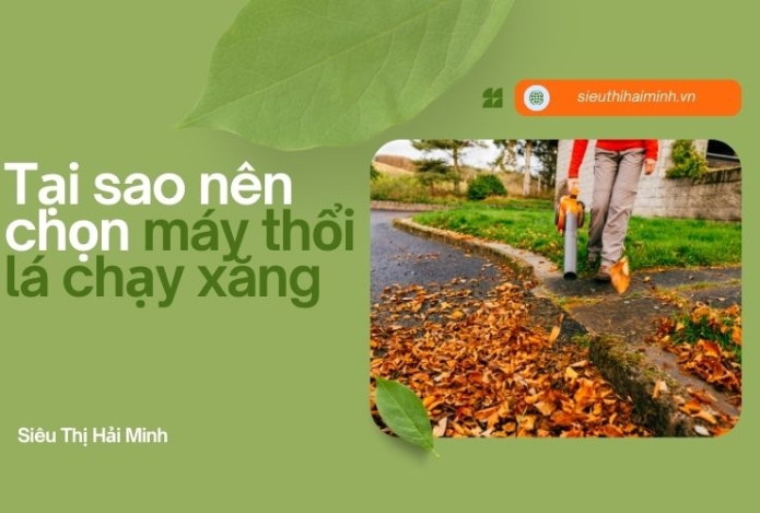 Hình ảnh Tại sao nên chọn máy thổi lá chạy xăng để thổi vườn rộng