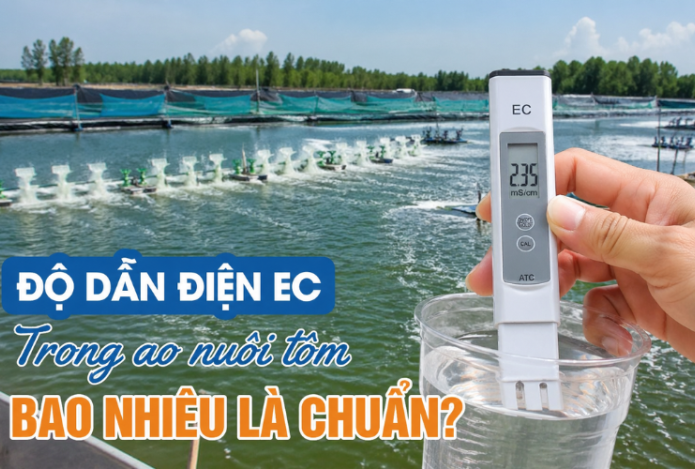 Độ Dẫn Điện EC Trong Ao Nuôi Tôm Bao Nhiêu Là Chuẩn?
