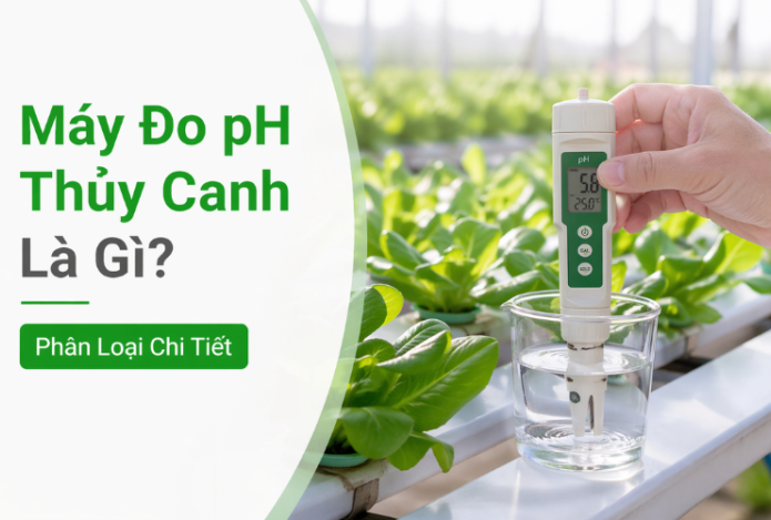 Hình ảnh Máy Đo pH Thủy Canh Là Gì? Phân Loại Chi Tiết