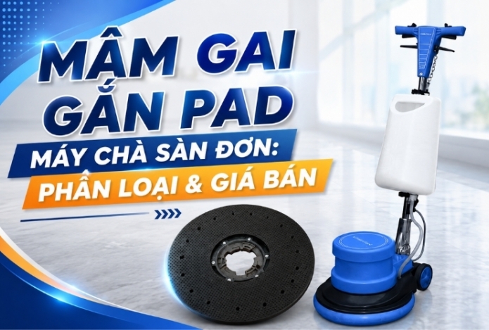 Mâm gai gắn pad máy chà sàn đơn: phân loại & giá bán
