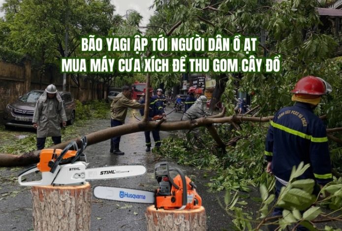 Hình ảnh Bão Yagi ập tới người dân ồ ạt mua máy cưa xích để thu gom cây đổ