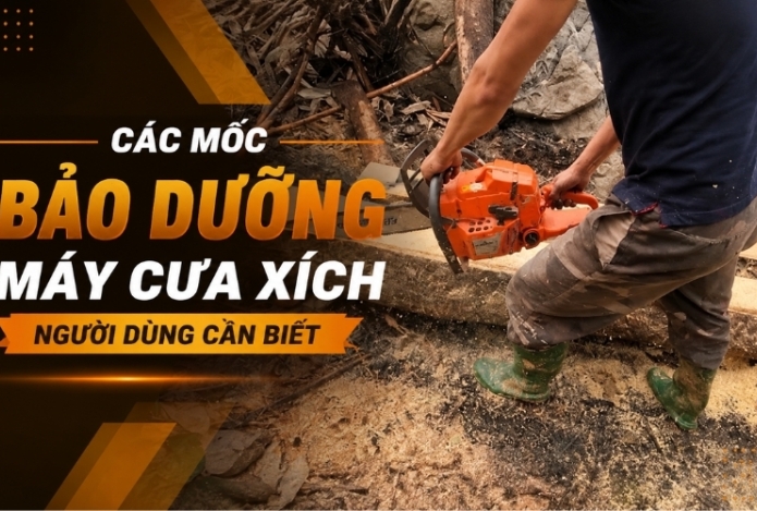 Các mốc bảo dưỡng máy cưa xích người dùng cần biết