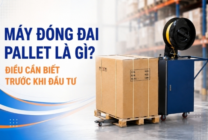 Máy Đóng Đai Pallet Là Gì? Điều Cần Biết Trước Khi Đầu Tư