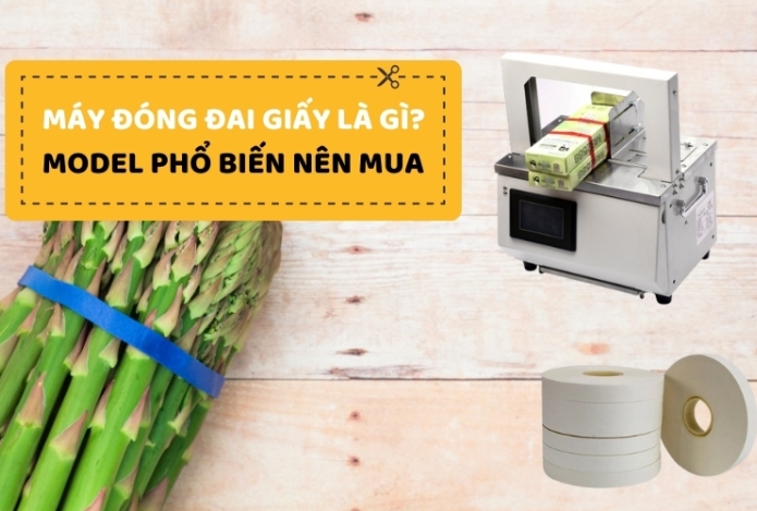 Máy đóng đai giấy là gì? Model phổ biến nên mua